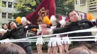 早稲田大学応援部 2016新歓 Viva Waseda [upl. by Madaras]