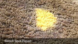 How to Fix Bleach Stain on Carpet  Using the DyeBold Dyes wwwdyeboldcarpetdyeingcom [upl. by Ciapas]