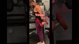 Triceps workout entrenamiento de triceps triceps fitness motivation gym armsworkout [upl. by Tay]