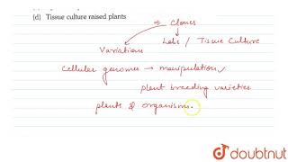 Somaclonal variation appears in plants [upl. by Eohce217]