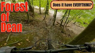 Mountain Biking in the Forest of Dean Does it have Everything [upl. by Sybyl]