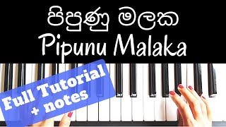 Shalitha Abeywickrama Pipunu Malaka පිපුණු මලක Both hands Piano Tutorial Level 13 NOTESSlow [upl. by Edia58]