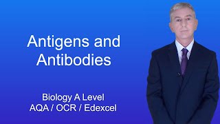 A Level Biology Revision quotAntigens and Antibodiesquot [upl. by Yoshi]