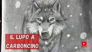 Lupo a carboncino [upl. by Humfrey]