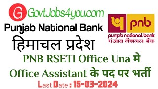 HP PNB Circle Office Hamirpur Office Assistant Recruitment 2024 [upl. by Amara324]