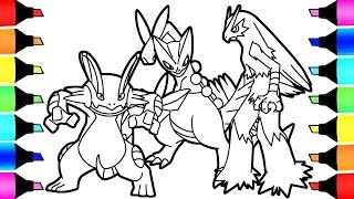 Coloring Pages Pokemon Hoenn Region starter final evolution I Fun Colouring for kids [upl. by Thorvald223]