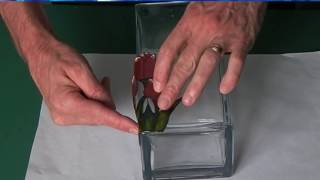 Introduction to Glass Painting Film [upl. by Einafit]