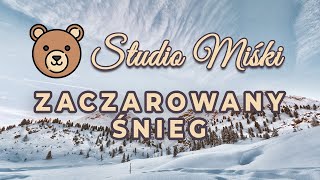 Studio Miśki  Zaczarowany Śnieg Cover WESOŁA SCENA [upl. by Pollyanna]