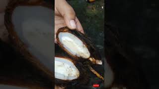 taler shash food foodie homemade specialrecipe youtubeshorts ytshorts tuktakranna67🥰 [upl. by Chavaree]