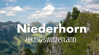 Niederhorn Ridge Hike • Best Hikes Switzerland [upl. by Dane]