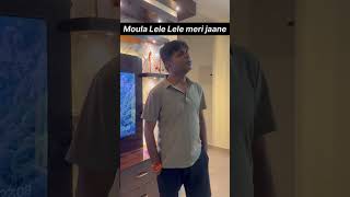 Maula Lele Lele meri jaan chakdeindia india hockey singer iamsrk indianmusician shortsvideo [upl. by Halla]