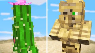 We made Minecraft Mobs from the Desert [upl. by Bondon]