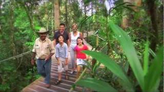 Cairns Tours  Skyrail Cairns Rainforest Tours [upl. by Mimajneb81]