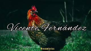 El Gallo Negro  Vicente Fernández  Letra [upl. by Enelhtac]