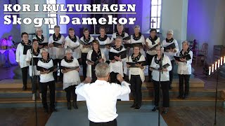 Kor i Kulturhagen  Skogn Damekor [upl. by Sandi]