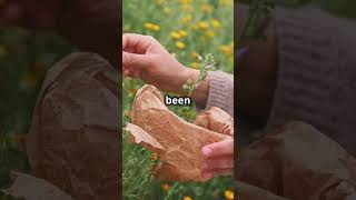 Plants with Surprising Medicinal Use naturefacts shorts [upl. by Aioj]