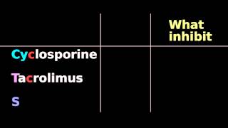 Immunosuppressive pharmacology Cyclosporine Tacrolimus Sirolimus mTOR FK IL2 [upl. by Garrott500]