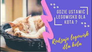 Gdzie ustawić legowisko dla kota   Rodzaje legowisk dla kota 😺 [upl. by Raynata]