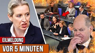 Knast statt rücktritt🚨Baerbock kreidebleich💥AfD rede geht gerade überall viral [upl. by Senaj]