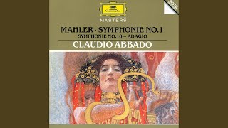 Mahler Symphony No 1 in D Major  IV Stürmisch bewegt [upl. by Kcirdef]