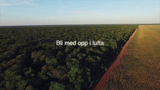 Et overblikk av regnskogen  REMA 1000  Palmeolje [upl. by Ardekan]