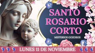 🌹Santo Rosario Corto de Hoy🙏Lunes 11 de Noviembre 🙏Misterios Gozosos🙏 Rosario a la Virgen María [upl. by Ettennaj]