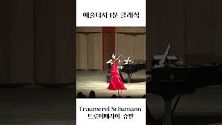 Traumerei Schumann  트로이메라이 슈만  명상 힐링 바이올린 연주 [upl. by Merlin]