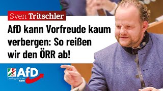 Das wird ein Spaß AfD kündigt ÖRRAbriss an – Sven Tritschler AfD [upl. by Nannoc724]