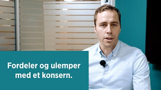 Fordeler Og Ulemper Med Et Konsern [upl. by Buyers]