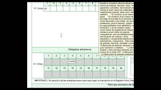 Como Actualizar RUT 2023 Persona Natural [upl. by Neerom]