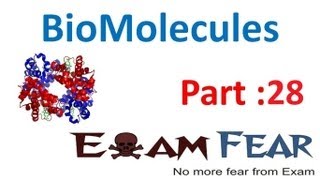 Biomolecules  FULL CHAPTER  Everything Covered  Class 12th  CUET Crash Course [upl. by Bonina]