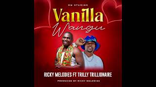 RICKY MELODIES ft TRILLY TRILLIONAIRE  VANILLA WANGU  OFFICIAL AUDIO [upl. by Gristede]