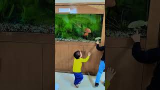 mitansh ne fish ko khana khilayacutelittlebaby funny cutecomedy babycomdey likeandsubscribe [upl. by Ayitahs]