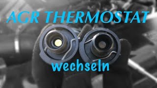 AGR THERMOSTAT WECHSEL  BMW E61 535d VFL BJ05  CMVG [upl. by Sweyn]