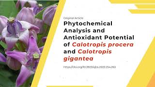 Phytochemical Analysis and Antioxidant Potential of Calotropis procera and Calotropis gigantea [upl. by Macfarlane223]