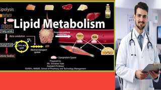 lipid and Phospholipd about mcqs for mdcat best preperation and repeated mcqs [upl. by Oicatsana]