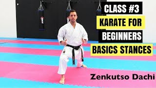 Martial Arts for Beginners – Lesson 3  Basic Karate Cobra Kai  Strong Stances [upl. by Ioab]