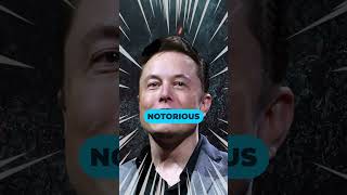 What Elon Musk Isnt Revealing About The Boring Company [upl. by Ettelrahc]