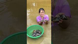 menemukan kerang jumbo di kolam ikan terbengkalai kerangsungai ngebolang [upl. by Nilloc341]