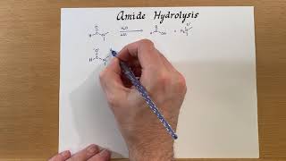 Amide Hydrolysis [upl. by Rapp]