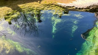 Jacob’s Well Texas 2024 [upl. by Isyak]