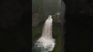 Amazon River Meeting of Waters shorts amazingfacts amazonriver [upl. by Eelek]