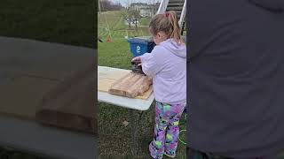 Caralee sanding a wooden board on November 15 2024 [upl. by Arianna804]