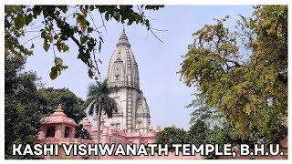 Kashi Vishwanath Mandir BHU  Varanasi  Asvi Siya [upl. by Olleina]