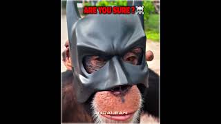 Best Batman Cosplay Moments☠️☠️ [upl. by Hosfmann]