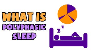 What is Polyphasic Sleep  Explained in 2 min [upl. by Andrien]