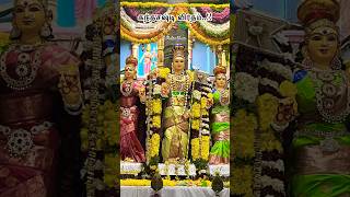 Day 6 shasti shastiviratham kandhasasti muruga murugan youtubeshorts shorts dayinmylife [upl. by Nytsua]