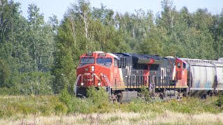 CN 507 to Moncton NB August 24 2024 [upl. by Enilra84]