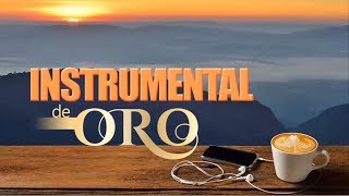 Musica Instrumental de Oro del Recuerdo Para Escuchar Grandes Hits Instrumentales [upl. by Dukey]