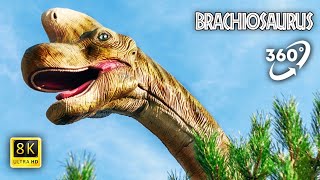 VR Jurassic Encyclopedia 7  Brachiosaurus dinosaur facts 360 Education [upl. by Fiden654]